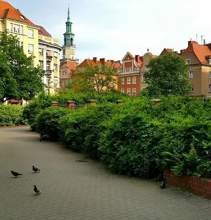Bluegrayorange Poznan