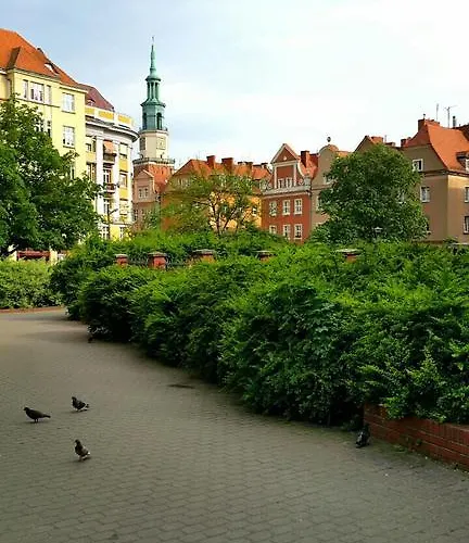 Bluegrayorange Poznaň